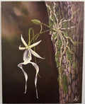 Ghost of the Glades Canvas Print