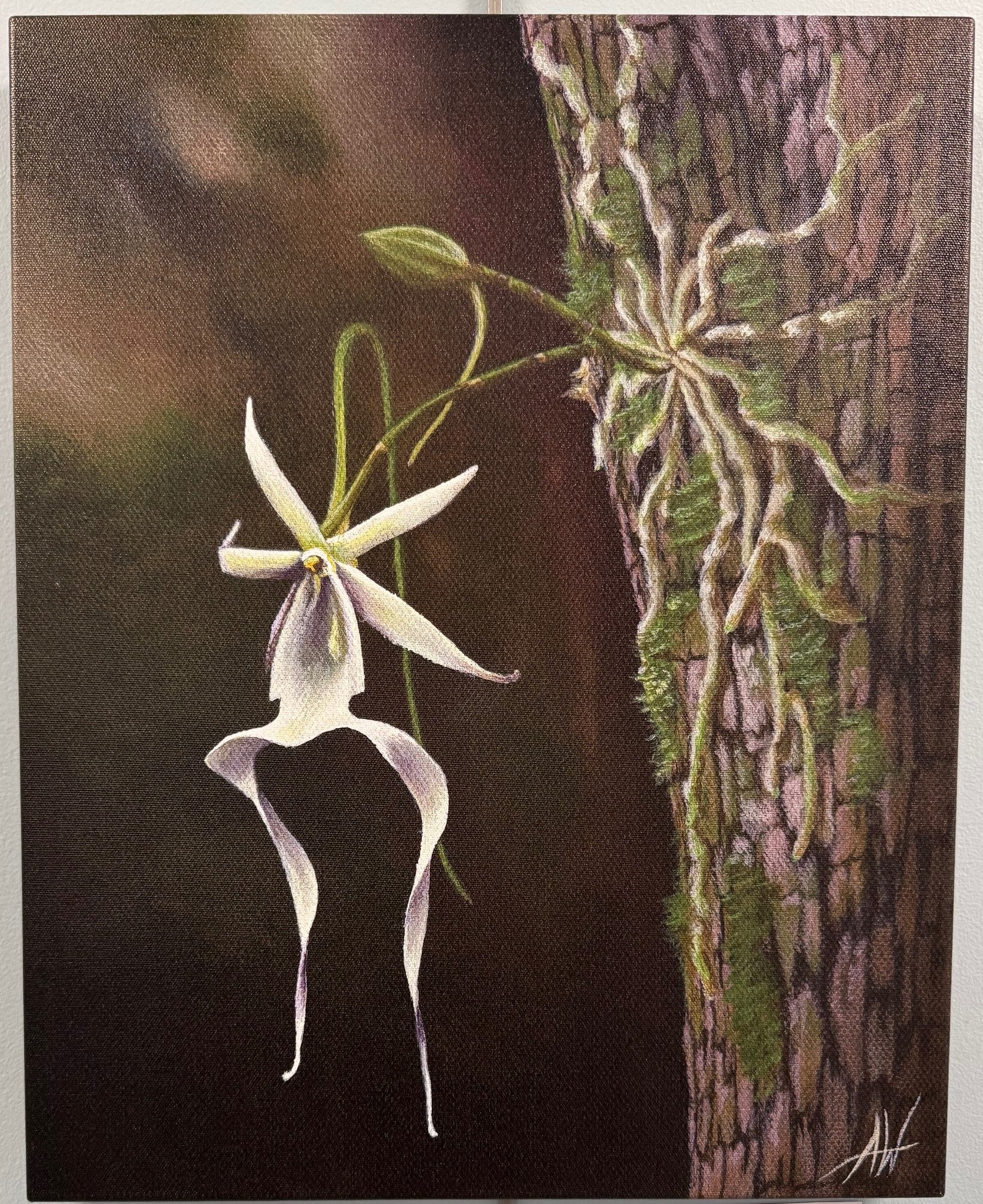 Ghost of the Glades Canvas Print