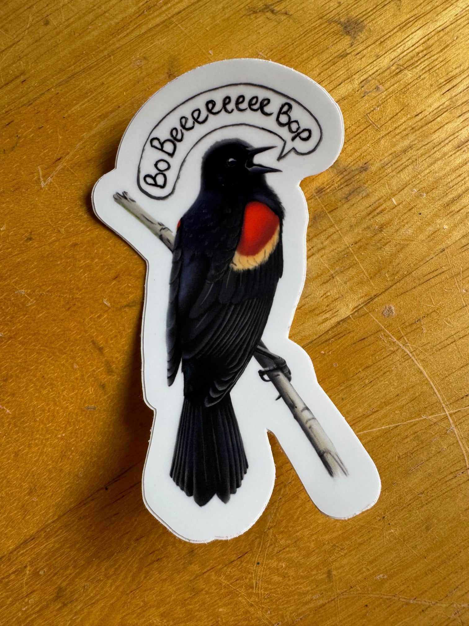Red-Winged Black Bird Sticker