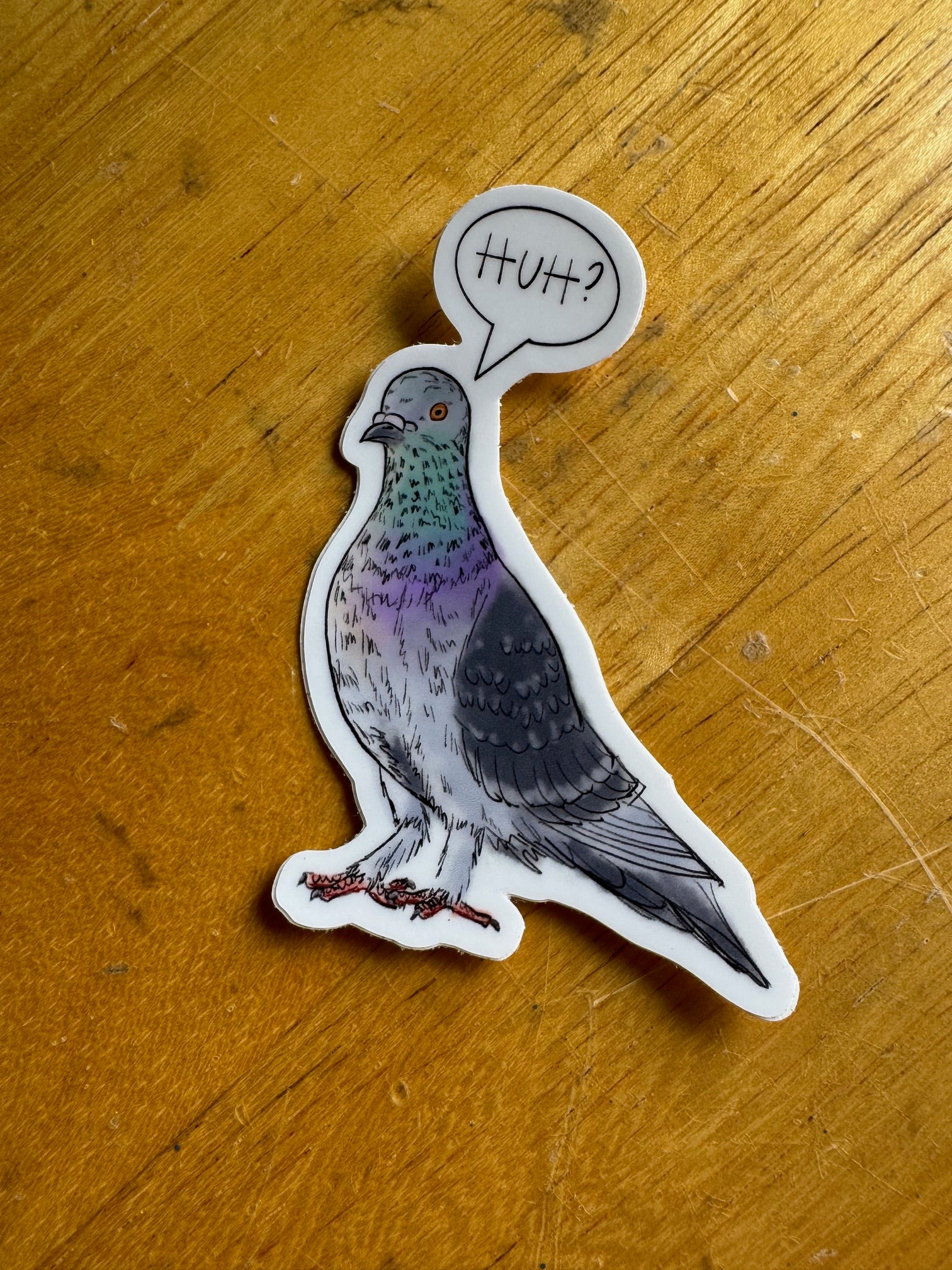 Silly Pidgeon Sticker