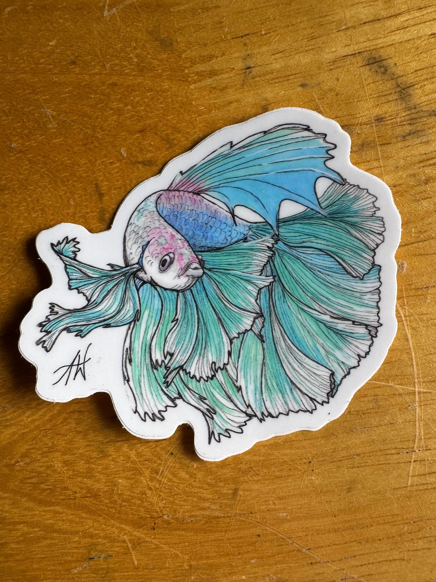 Betta Fish Sticker