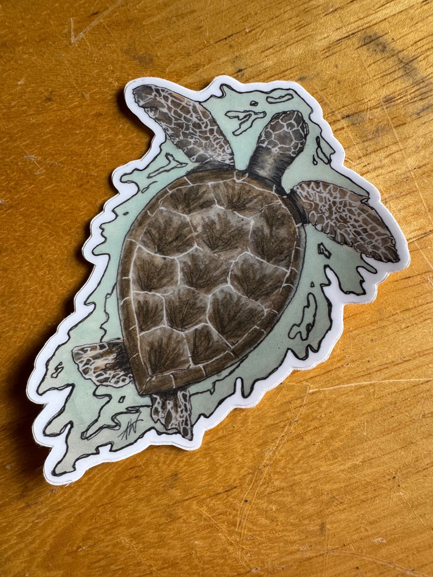 Sea Turtle Sticker