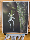 Ghost of the Glades Art Print