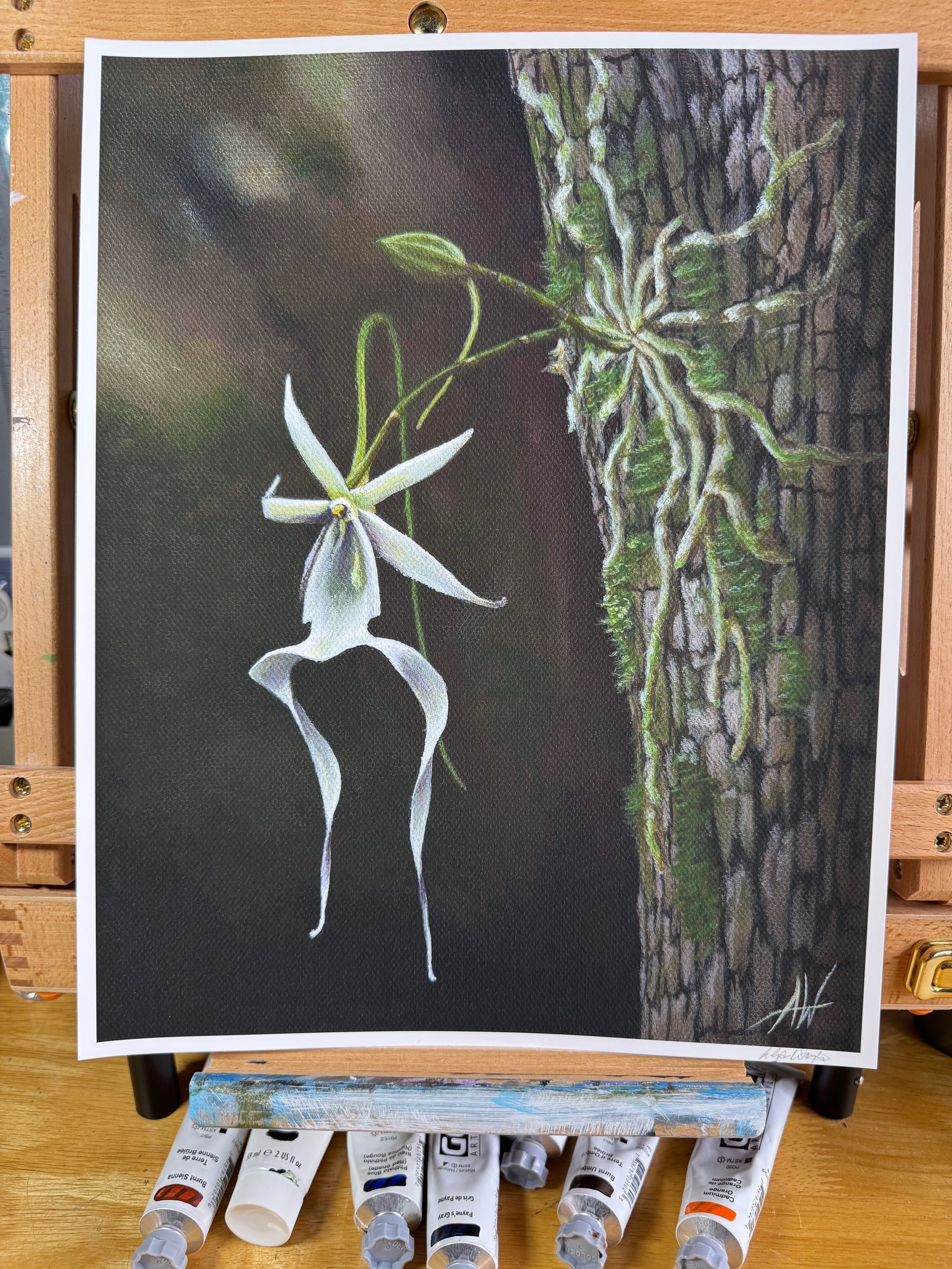 Ghost of the Glades Art Print