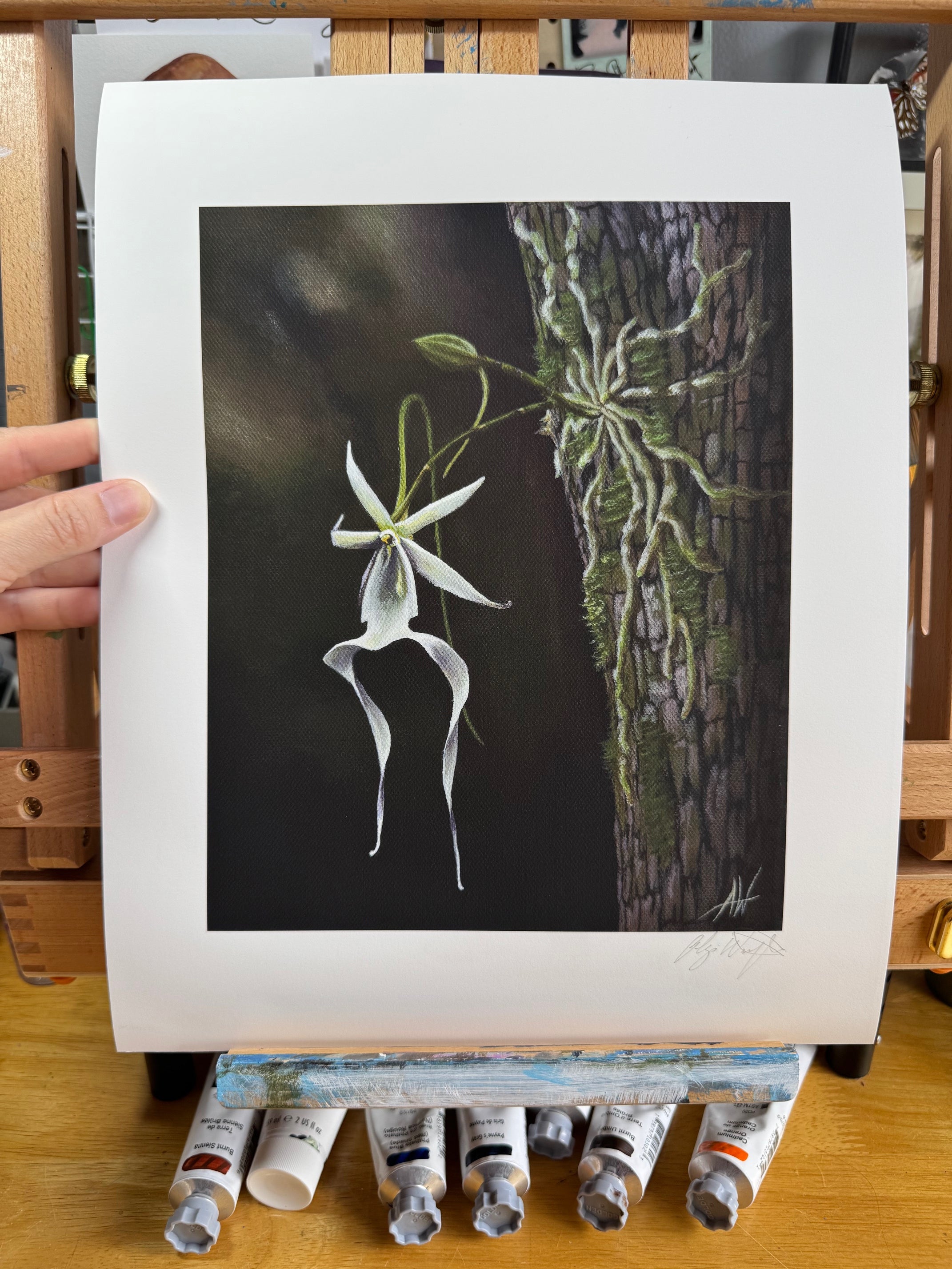 Ghost of the Glades Art Print