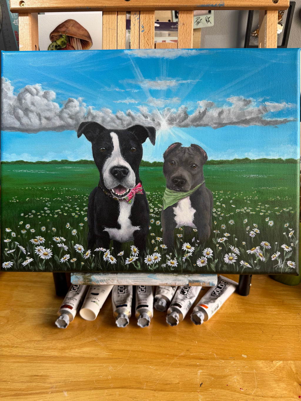 Pet Portraits By Commision