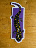 Spotted Salamander Sticker