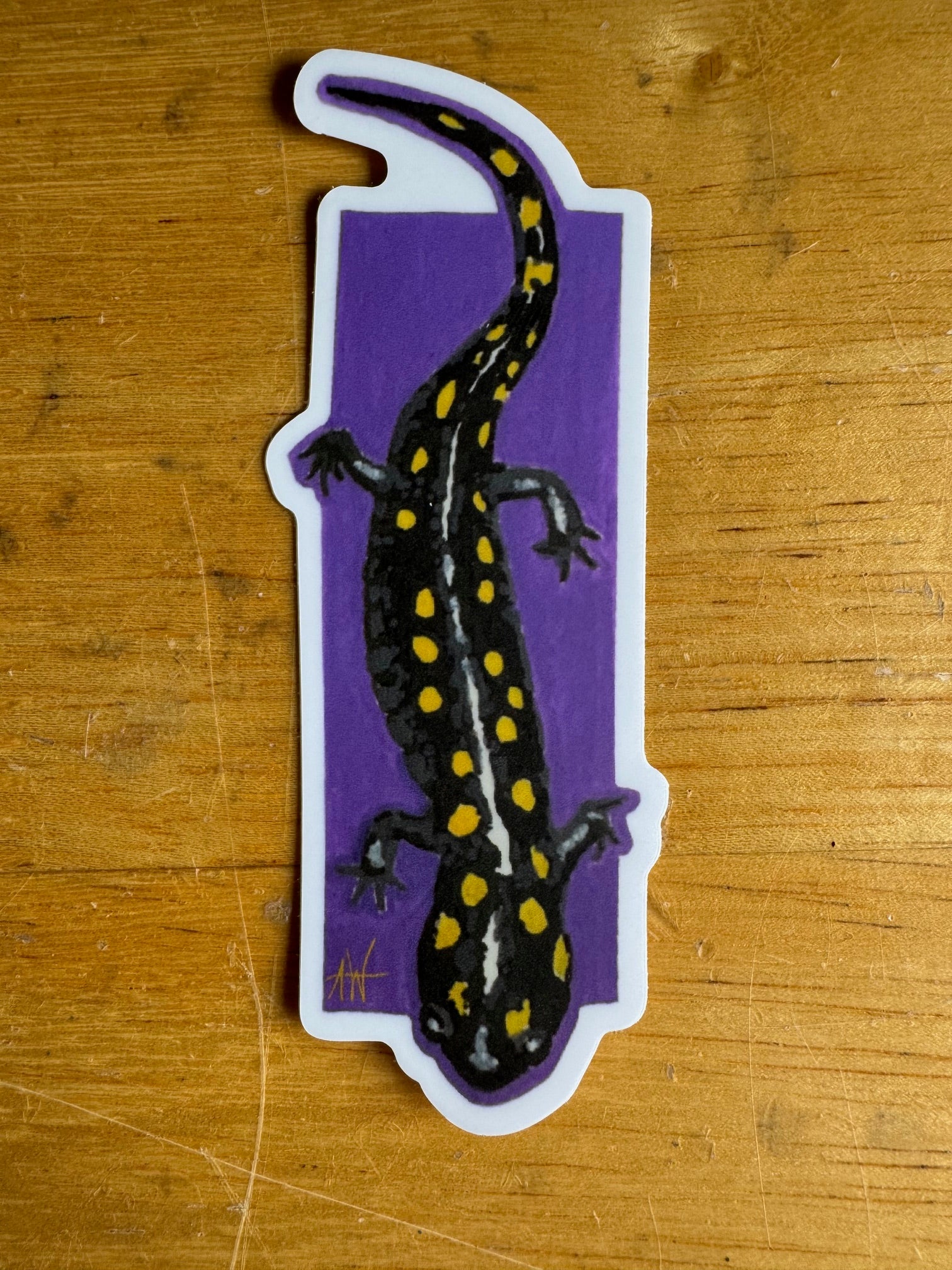 Spotted Salamander Sticker