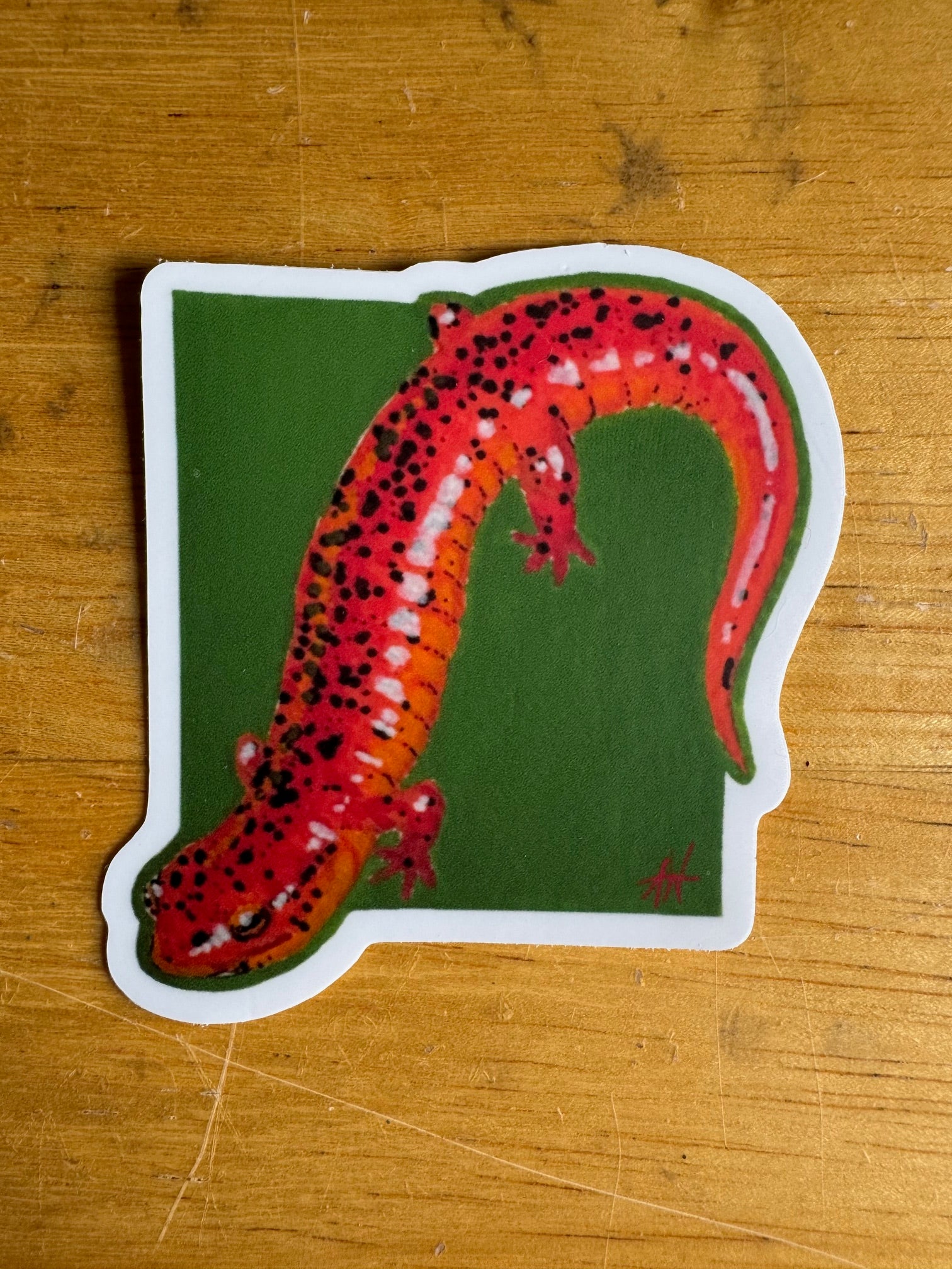 Red Salamander Sticker