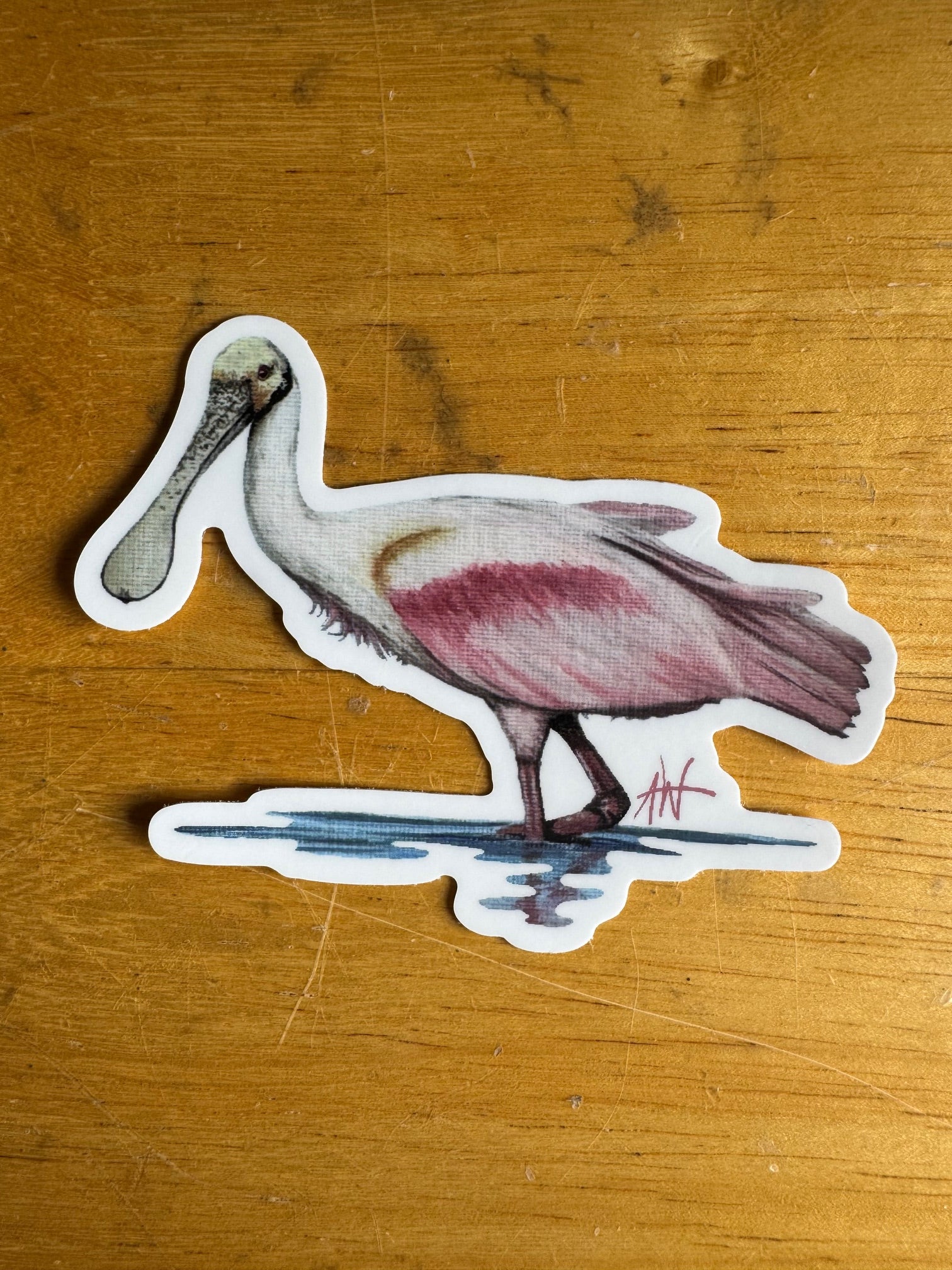 Roseate Spoonbill Sticker